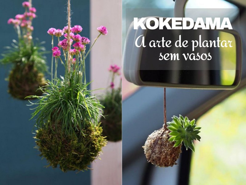 Kokedama: a arte de plantar sem vasos