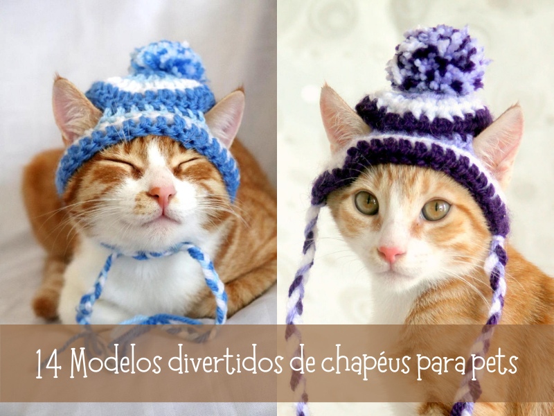 14 modelos divertidos de chapéus para pets 14 Modelos divertidos de chapéus para pets
