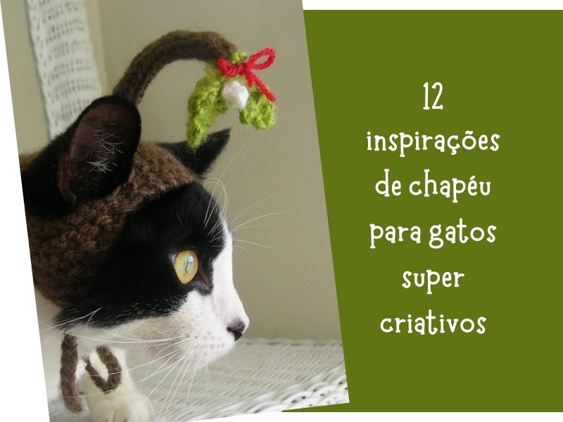 12 Inspirações de chapéu para gatos criativos e divertidos