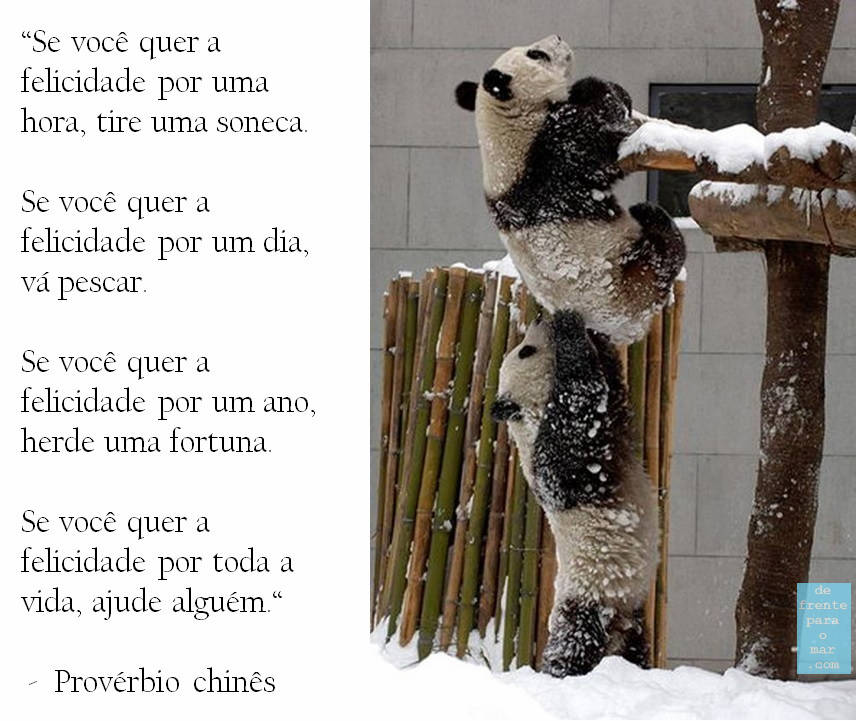 a felicidade, frase do dia - #assopraquesara - provérbio chinês